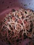 Espaguetti con espinacas