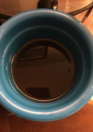 Una foto de Infusión Flor de Jamaica-Limón-Manzanilla-TVerde #DiadelaMadre