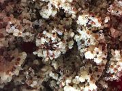 A picture of grain quinoa