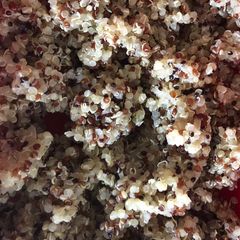 A picture of Mixed Grain Quinoa lunch pack.
