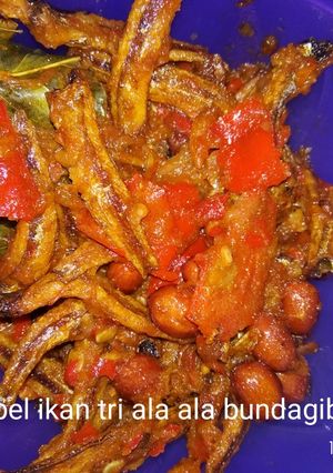 Foto resep Sambel ikan tri ala ala bundagibran