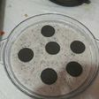 Puding Oreo Praktis