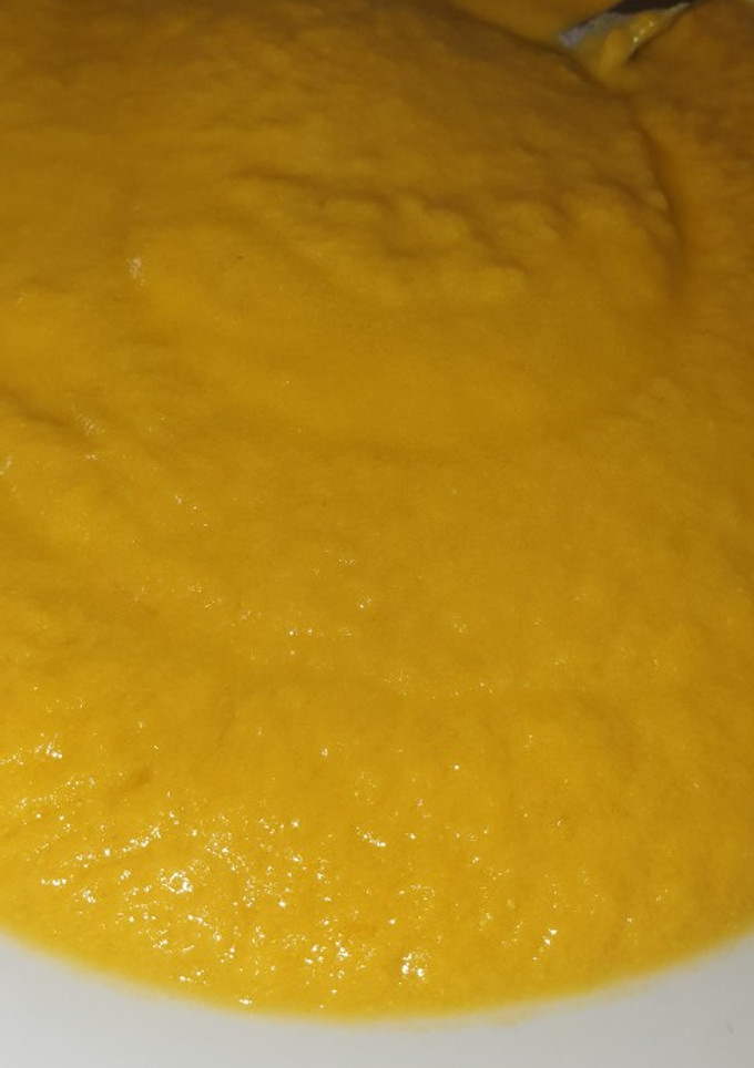 Una foto de Puré de verdura y pollo Thermomix