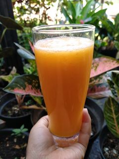 Foto resep Jus wortel nanas pepaya