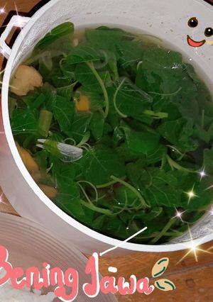 Foto resep Sayur bening jawa