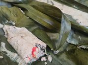 Gambar gadon daging