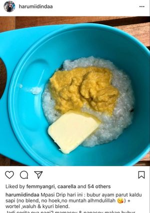 Foto resep Mpasi 7 bulan bubur ayam sayur