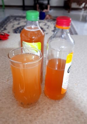 عکسی از دستور شربت آلو