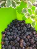 Jugo de uva espeso🍇