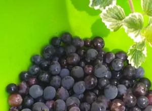 Una foto de Jugo de uva espeso🍇