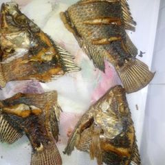 A picture of Fried fish.