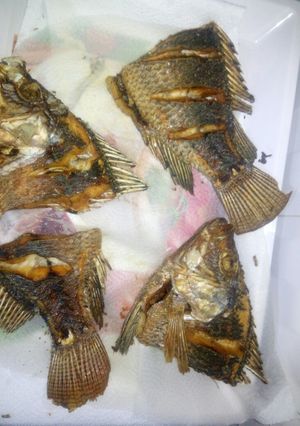 A picture of Fried fish.