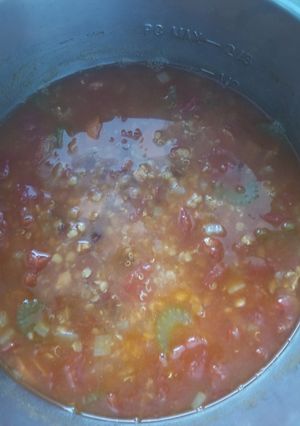 A picture of Instant Pot - Moroccan Soup with Chickpeas and split red peas.