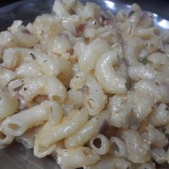 A picture of White sauce pasta.