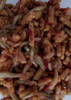 Foto resep Tempe Sambel Teri