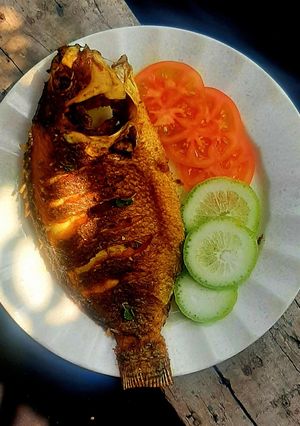 তেলাপিয়া ফ্রাই। রেসিপির প্রধান ছবি