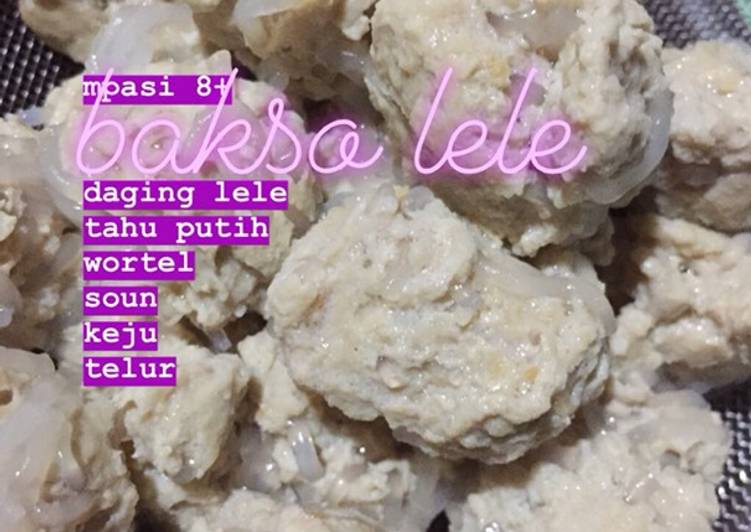 Resep Bakso Rambutan Lele (MPASI 8+) yang nikmat dan Mudah Dibuat
