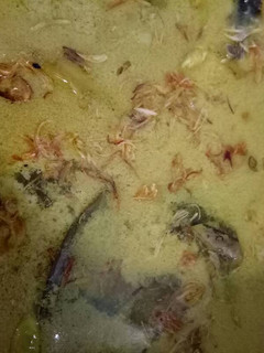Foto resep Opor ayam kampung