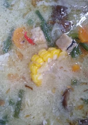 Foto resep Sayur lodeh