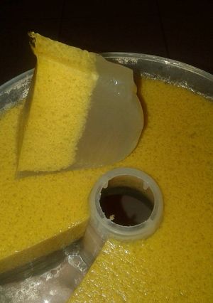 Foto resep Agar agar lumut wortel