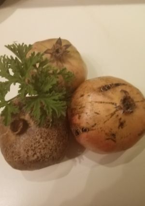 Φωτογραφία της συνταγής Λικέρ ρόδι
