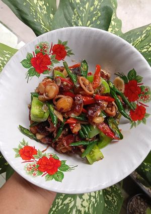 Foto resep Oseng Cumi Cabe Hijau