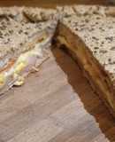 Tarta napolitana integral