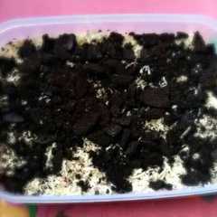 รูปของ Oreo cheesecake