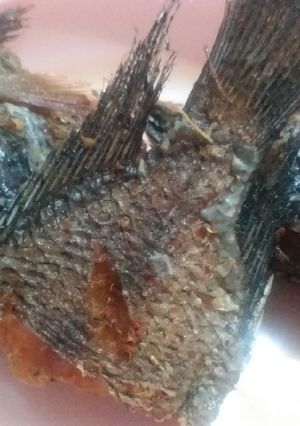 Foto resep Mujaer goreng