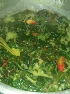 Foto resep Daun singkong kuah santan sedap