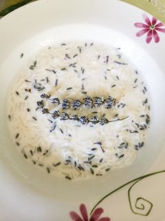 Levendulás tejberizs recept fotója