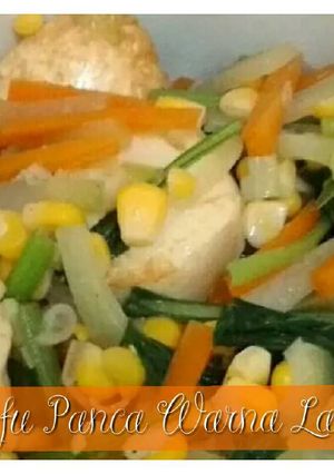 Foto resep cah tofu panca warna