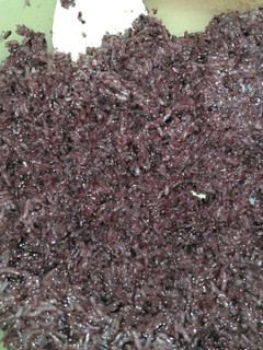 Foto resep Tape Ketan Hitam Manis