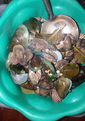 Foto resep Kerang hijau jamur Saus Tiram