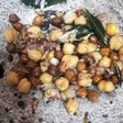 முளைகட்டிய சுண்டல்