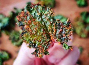 รูปของ เคลอบกรอบ Kale chips