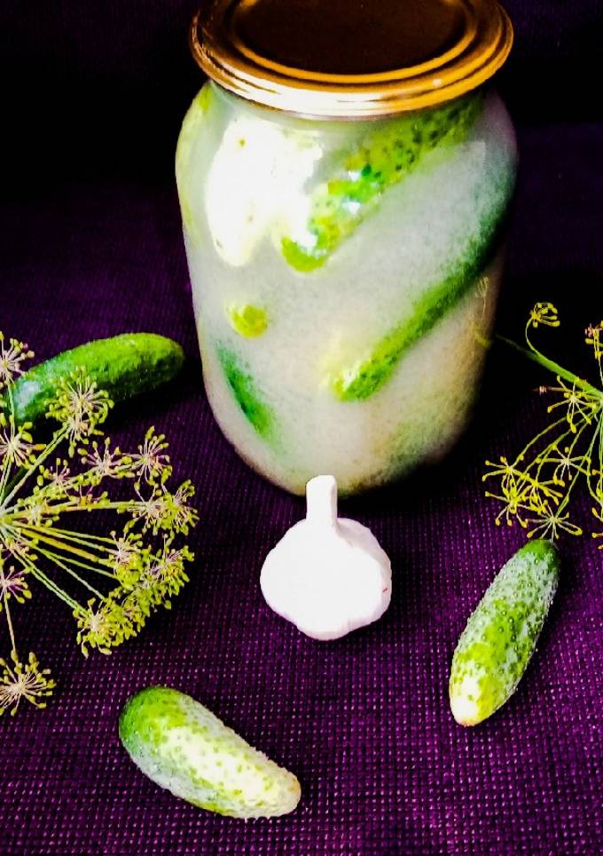 Огірки в гірчичній заливці на зиму🥒