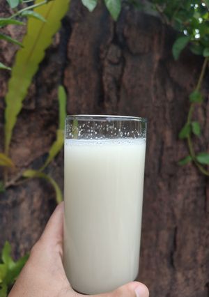 Foto resep Jus Bengkoang