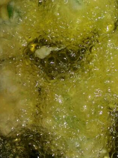 Foto resep Bakwan jagung