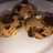 Πανεύκολα soft cookies βρώμης
