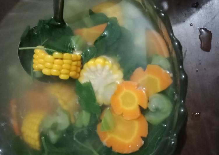 Sayur bening katuk segar