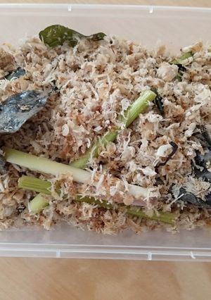Foto resep Abon Ayam + Baby Udang Halus Segar Menu Booster BB MPasi
