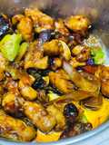 Ayam Gajus Travel Cooker