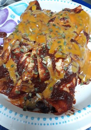 A picture of Enchiladas on the Stovetop.