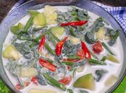Gambar pucuk labu kuning