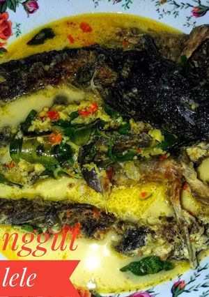 Foto resep Manggut lele