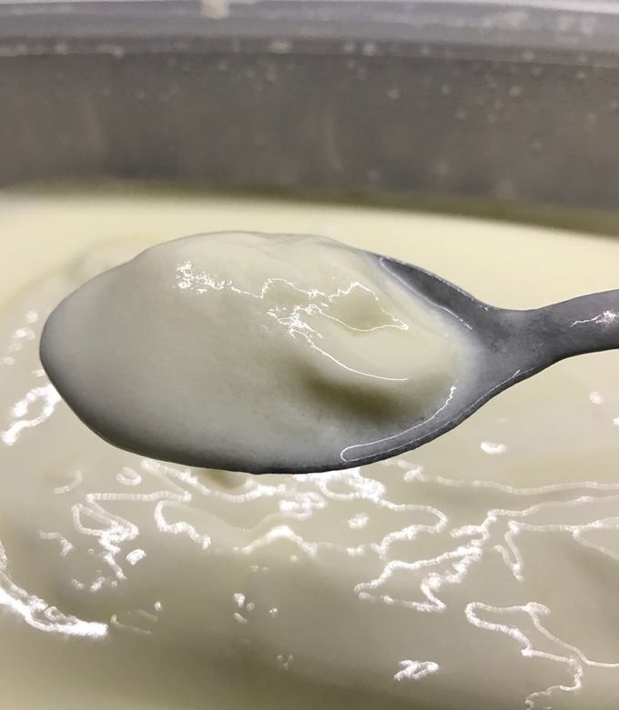 Una foto de Yogurt de vainilla