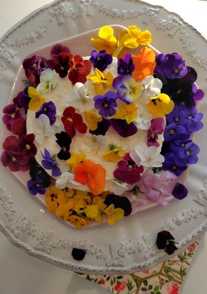 A picture of Violet Soft Cheesecake.