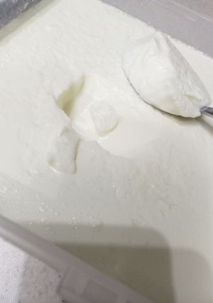 عکسی از دستور 🐄 ماست محلی خونگی 🐄