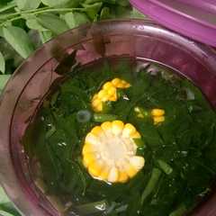 Sayur bening daun katuk-レシピのメイン写真